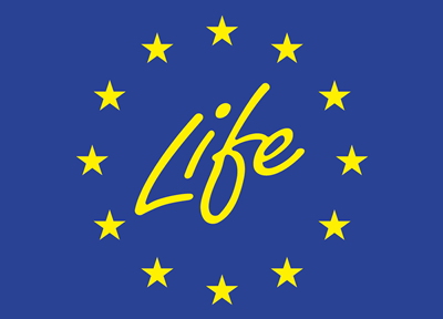 logo life 1