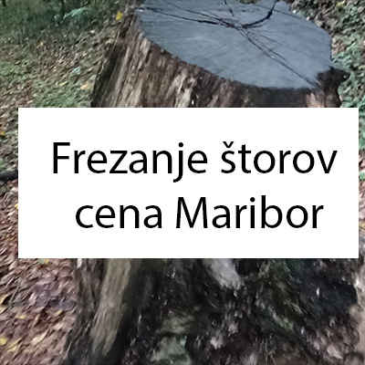 Frezanje štorov cena Maribor