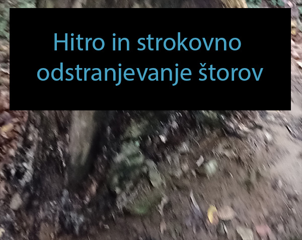 Hitro in strokovno odstranjevanje štorov