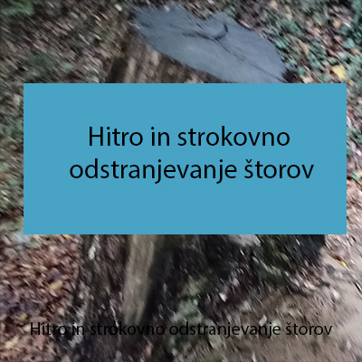 Hitro in strokovno odstranjevanje štorov