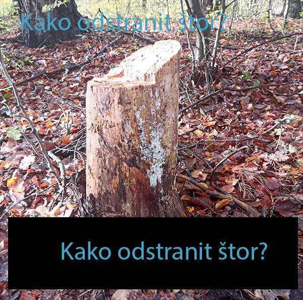 Kako odstranit štor?