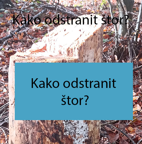 Kako odstranit štor?