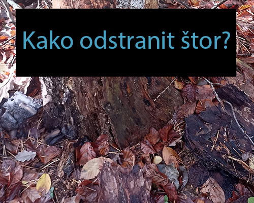 Kako odstranit štor?