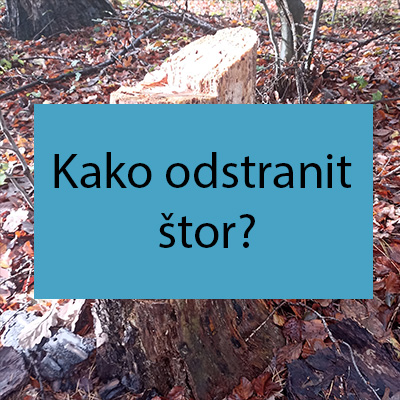 Kako odstranit štor?